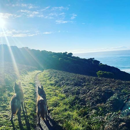Great Ocean Road Wellness And Nature Stay Apollo Bay Extérieur photo