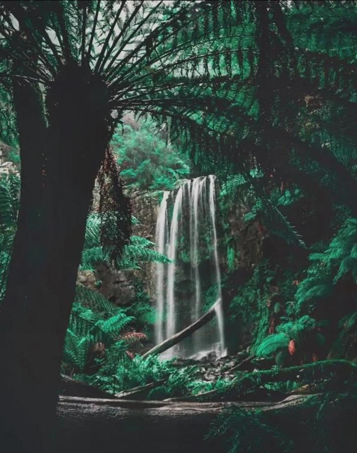 Great Ocean Road Wellness And Nature Stay Apollo Bay Extérieur photo