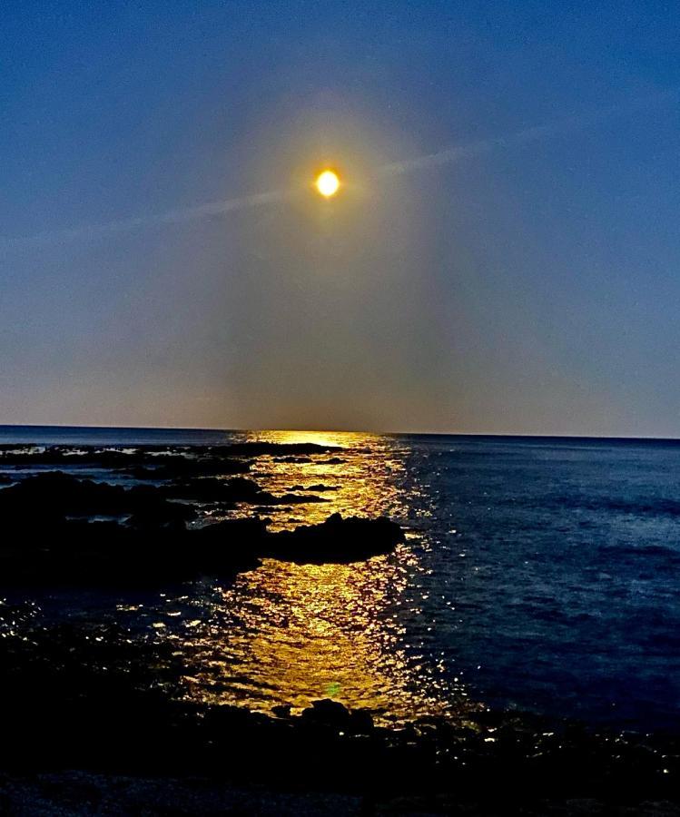 Great Ocean Road Wellness And Nature Stay Apollo Bay Extérieur photo