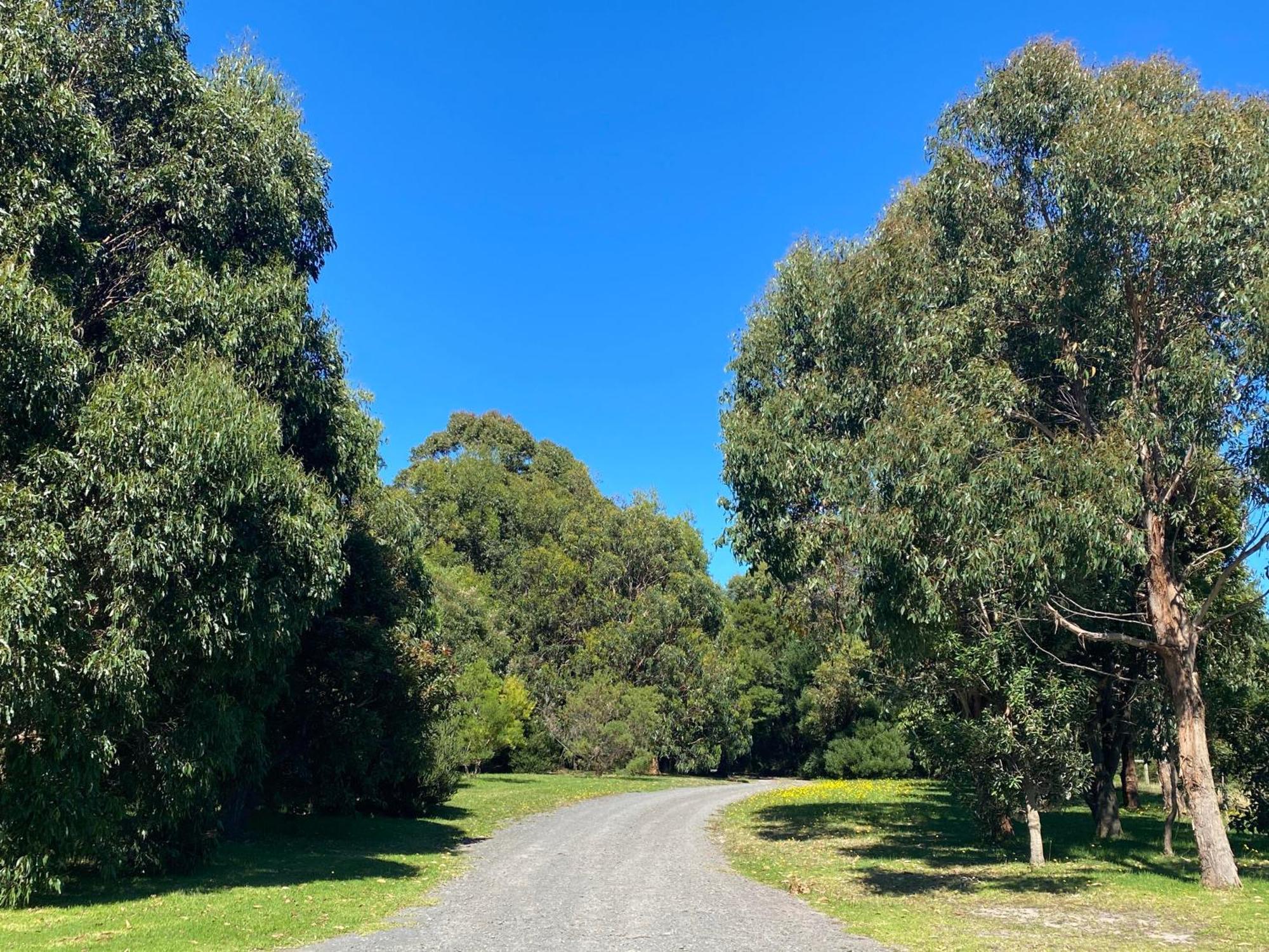 Great Ocean Road Wellness And Nature Stay Apollo Bay Extérieur photo