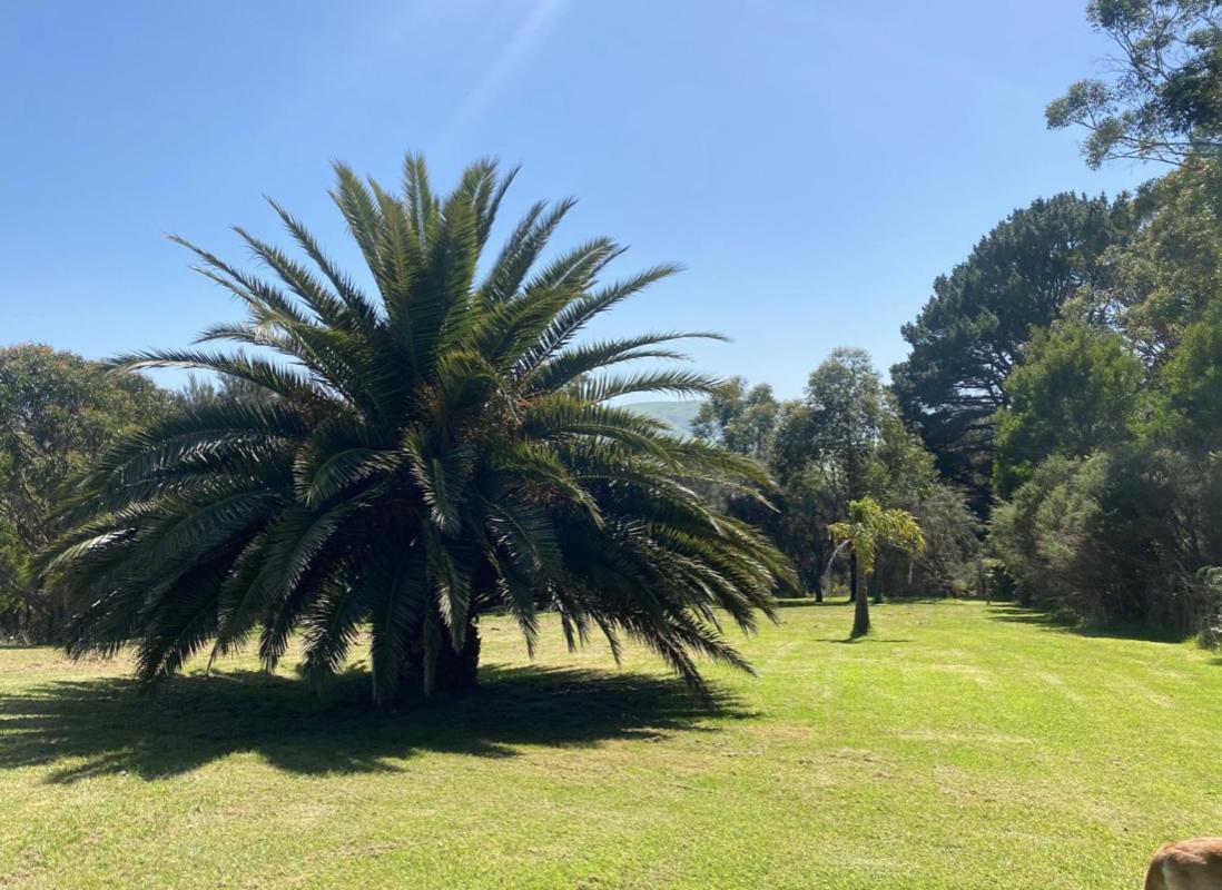 Great Ocean Road Wellness And Nature Stay Apollo Bay Extérieur photo